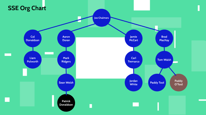 SSE Org Chart by Jamie Stewart