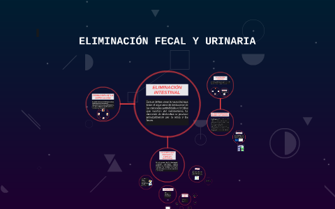 ELIMINACIÓN FECAL Y URINARIA by Regiina Morales on Prezi Next