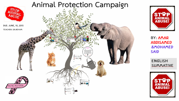 ANIMAL PROTECTION CAMPAIGN by Amar A