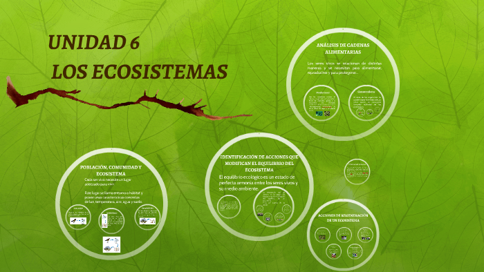 UNIDAD 6: LOS ECOSISTEMAS by