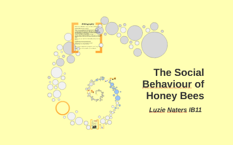 The Social Behaviour Of Honey Bees By Luzie Mimi On Prezi