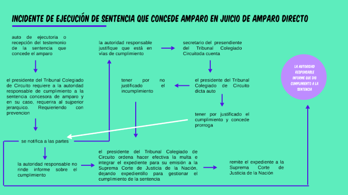 incidente de ejecución de sentencia que concede amparo en juicio de ...