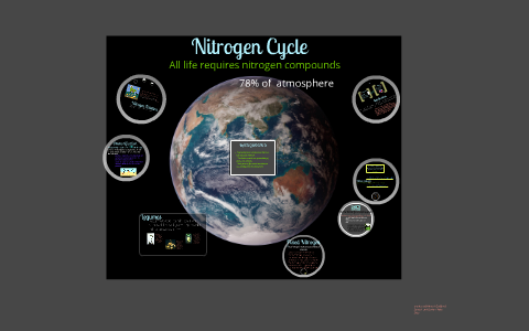 Nitrogen Cycle by Glen Rowell on Prezi