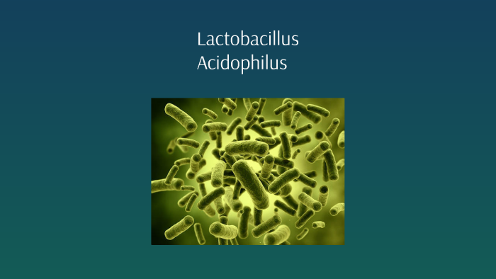 lactobacillus acidophilus cavities