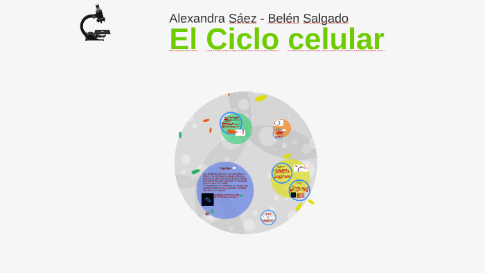 El ciclo celular by alextintor saez on Prezi