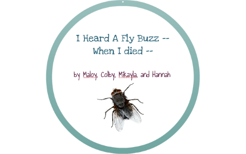 i heard a fly buzz when i died analysis