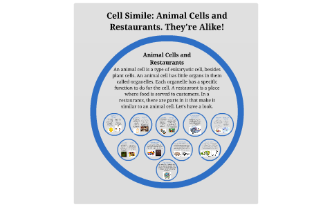 Animal Cell by H H on Prezi
