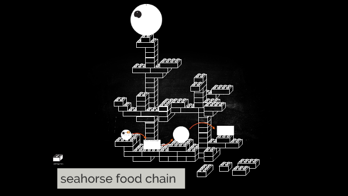 seahorse food chain by Tracy Senf on Prezi Biology Diagrams
