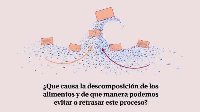 ¿Que causa la descomposición de los alimentos y de que maner by Emily
