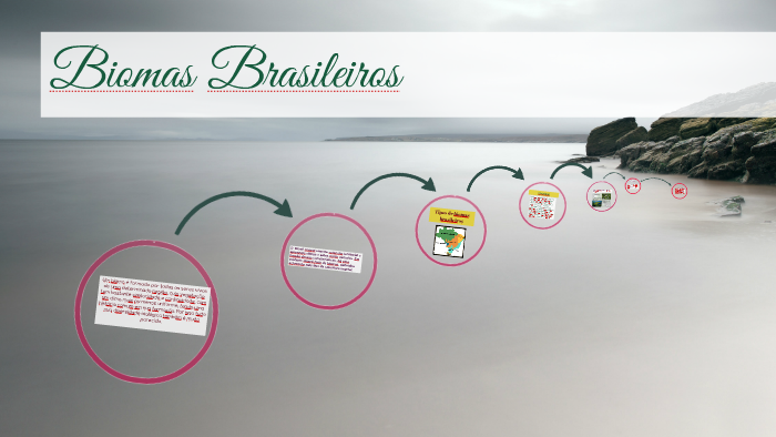 Biomas Brasileiros by Maria Emília de Rezende Moraes on Prezi