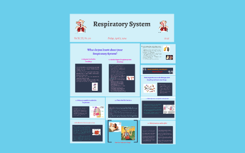 Respiratory System by on Prezi