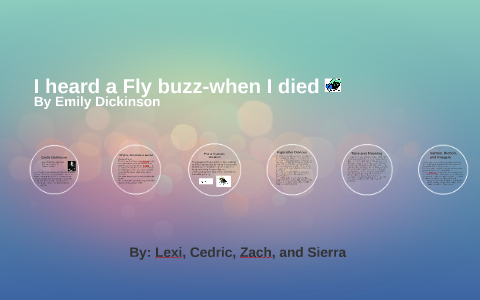 emily dickinson fly