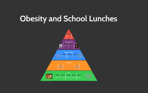 essay on obesity and high school lunches the evidence
