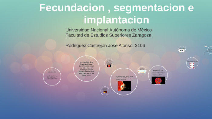 Fecundacion , Segmentacion E Implantacion By Jose Rodriguez Castrejon ...