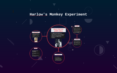 harlow experiment quizlet