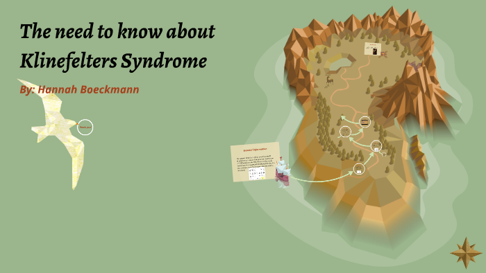 The Need To Know About Klinefelters Syndrome By Hannah Boeckmann