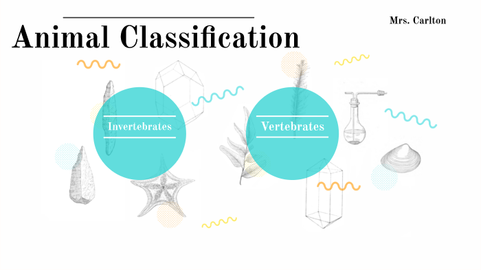 Animal classification by Erin Carlton on Prezi