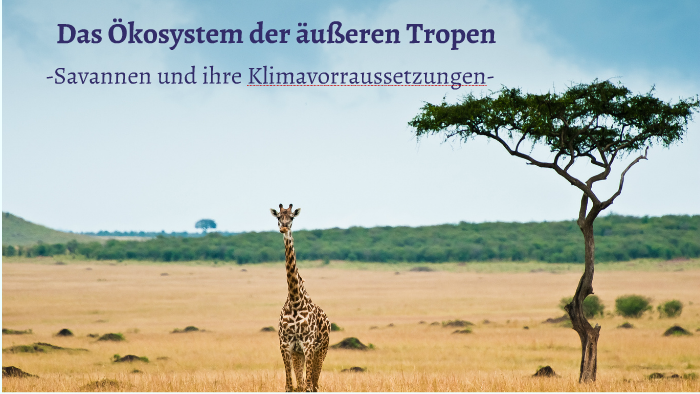 Ökosystem der äußeren Tropen by Emma Gabrysch