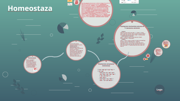 Homeostaza By Klaudia Chmielewska On Prezi 0445