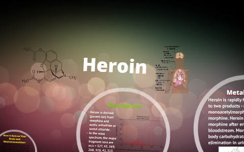 Heroin by Alexa Arnold on Prezi