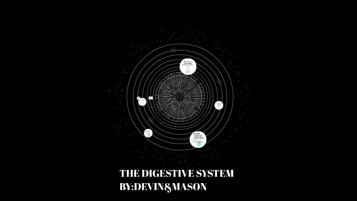 THE DIGESTIVE SYSTEM by devin gonzalez on Prezi