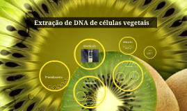 prezi