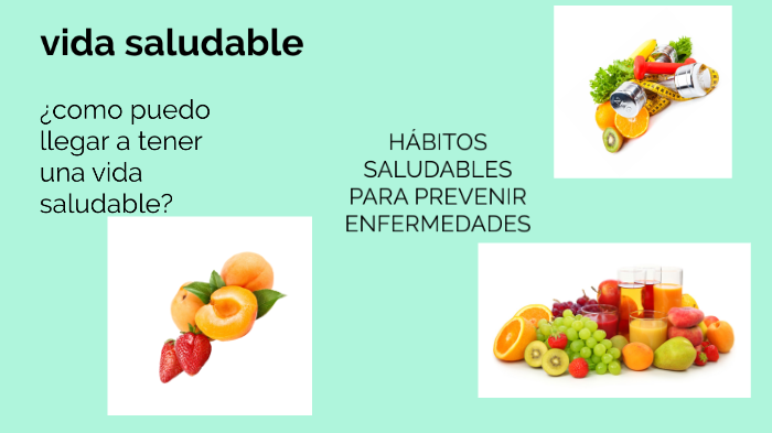 vida saludable by Gatito GT