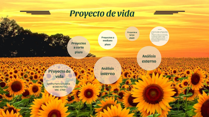 Proyecto de vida by Paula Rojas on Prezi