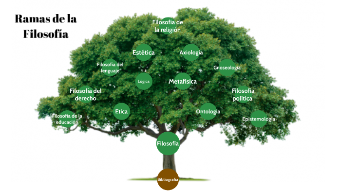 Ramas de la Filosofía by Alan Villaman