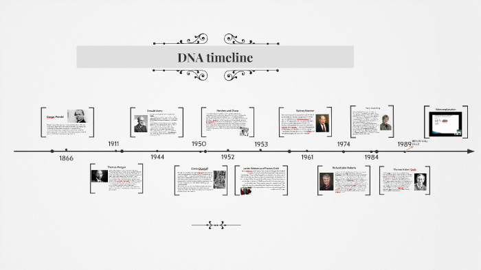 DNA timeline by Alberto Escalada