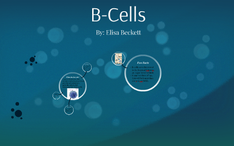 B Cells by Elisa Beckett