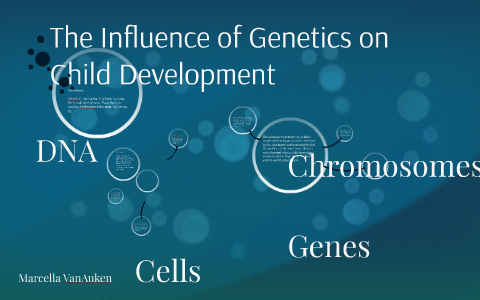 The Influence of Genetics on Child Development by Marcella VanAuken