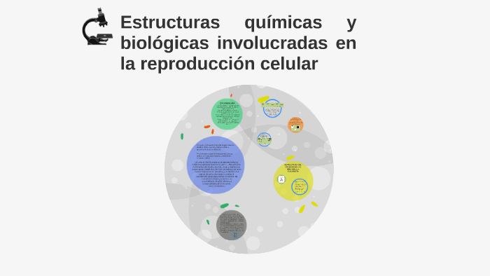 Estructuras químicas y biológicas involucradas en la reprodu by Zareth ...