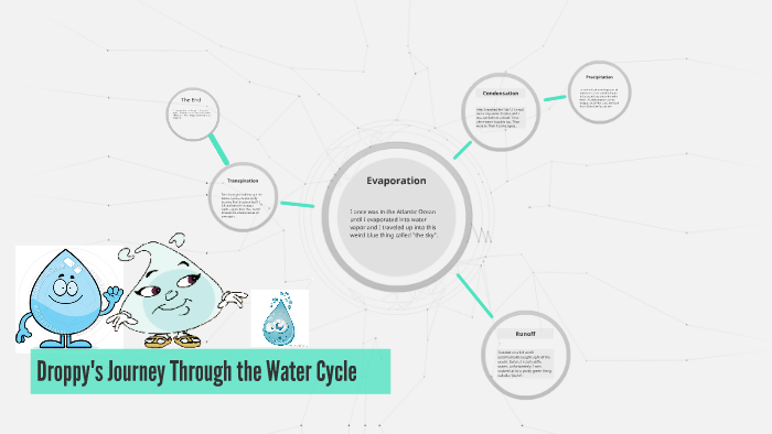 The Water Cycle by Jacob Garrett on Prezi