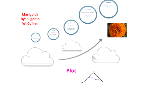 W plot diagram