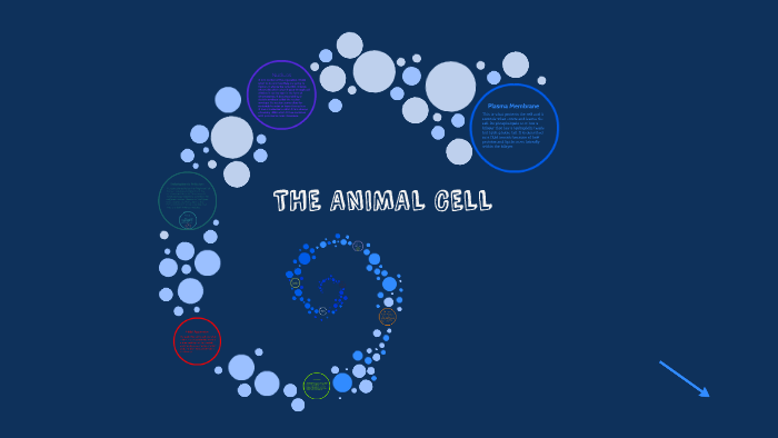 THE ANIMAL CELL by Jerry Alejo on Prezi