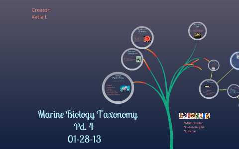 Marine Biology Taxonomy by Katia Lopez on Prezi
