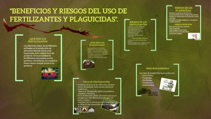 BENEFICIOS Y RIESGOS DEL USO DE FERTILIZANTES Y PLAGUICIDAS by Andrea