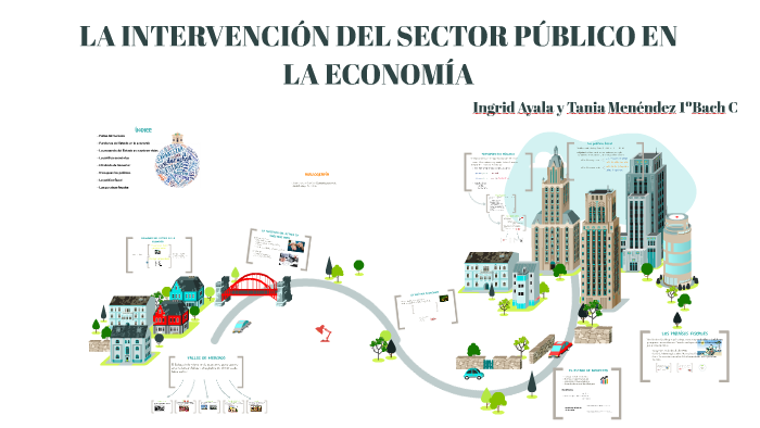 Importancia Del Sector Publico En La Economia