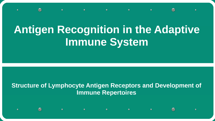 Antigen Recognition in the Adaptive Immune System by Swathi ...