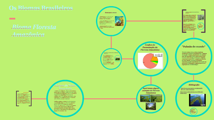 Os Biomas Brasileiros by Ariclene gloria on Prezi