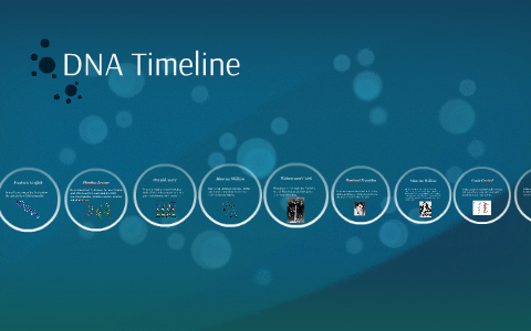 DNA Timeline by candice meyer