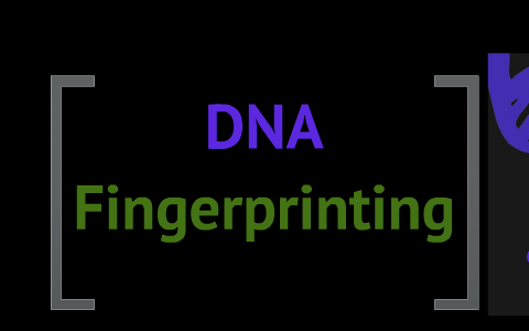 DNA Fingerprinting By Anna Lathrop On Prezi Next