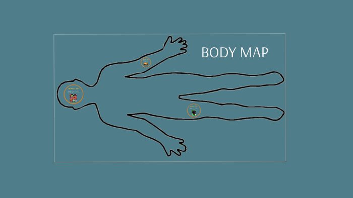 Biocom Body Map Body Map - 5015 by Alexa Rodriguez on Prezi