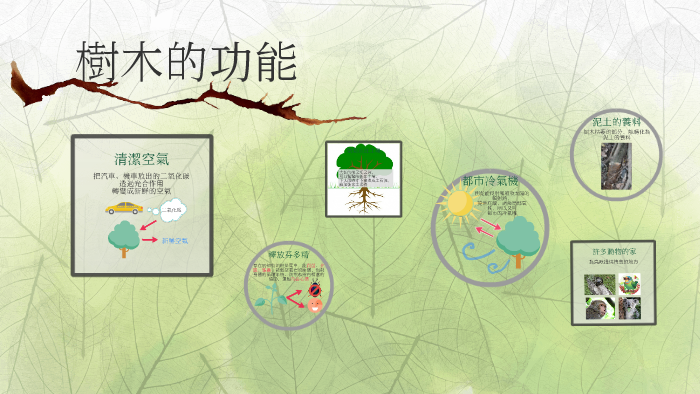 樹木的功能 by Man Ting Yeh on Prezi