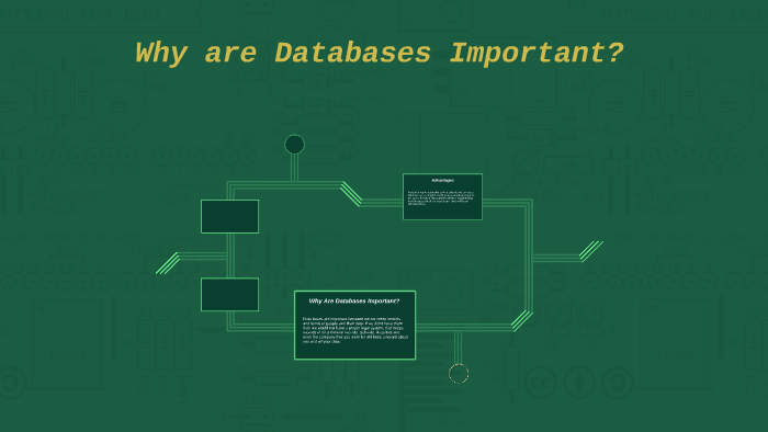 why are research databases important