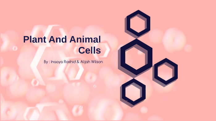 Plant And Animal Cells by Inaaya Rashid on Prezi