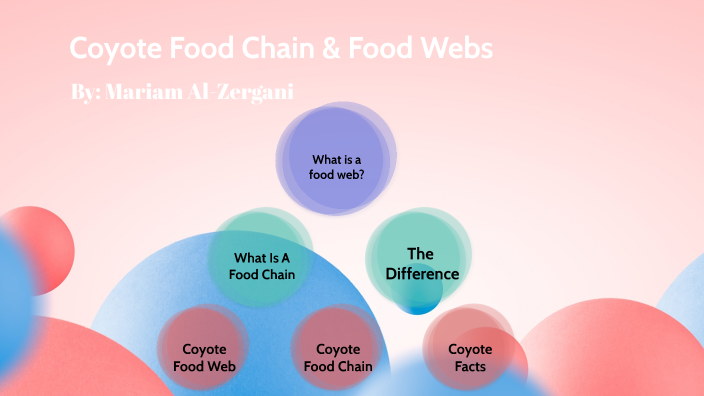 Coyote Food Chain Food Webs by Mariam Alzergani on Prezi Biology Diagrams