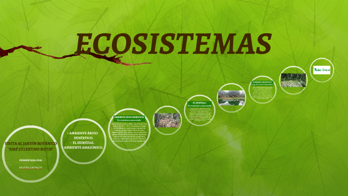 ECOSISTEMAS by Beatríz Andrade on Prezi