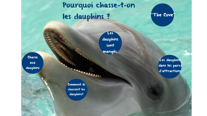 Pourquoi chasse-t-on les dauphins ? by Frankie Hyde on Prezi